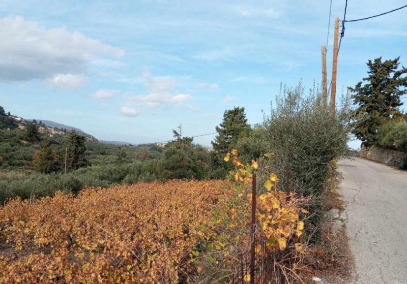 Pemonia Kreta, Pemonia: Grundstück innerhalb der Siedlung zu verkaufen Grundstück kaufen